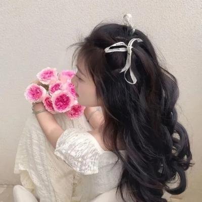 奥兰多：我的政治传记